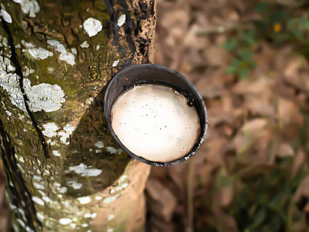 JTC (NANJING) CORPORATION